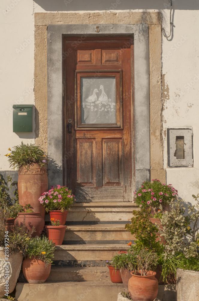 Old Portugal door