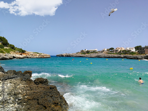 Mallorca, Portocolom, Cala Marsal, Möwe photo