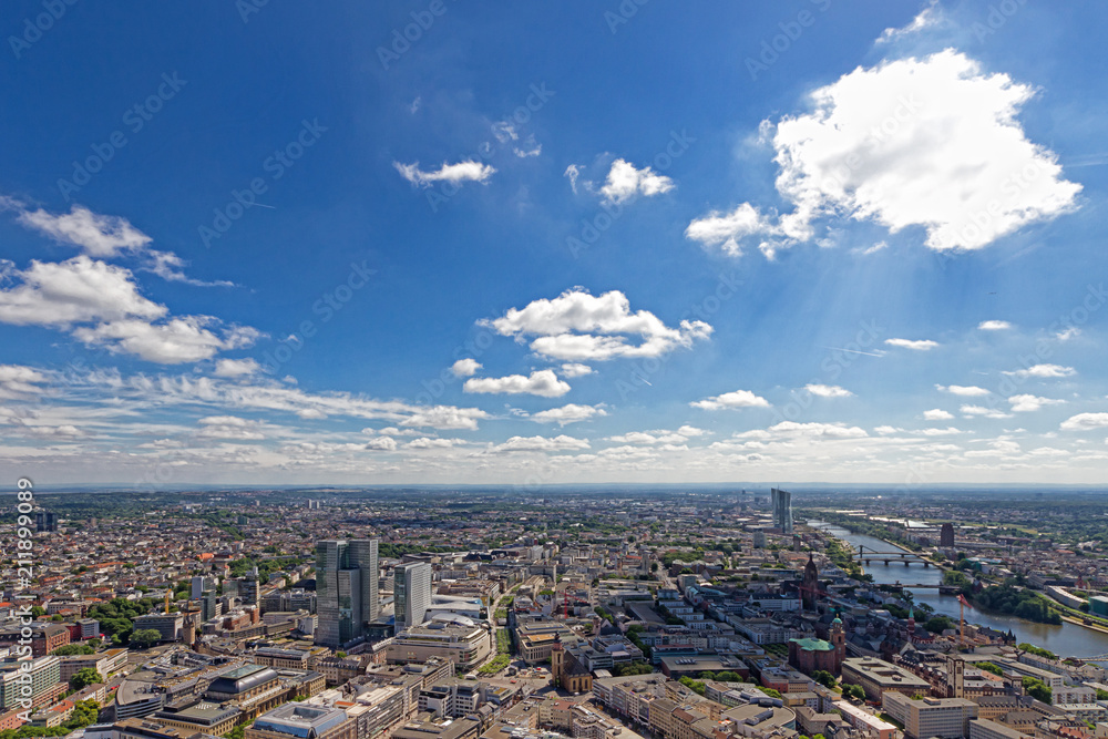 Fototapeta premium Aussicht Frankfurt am Main im Sommer