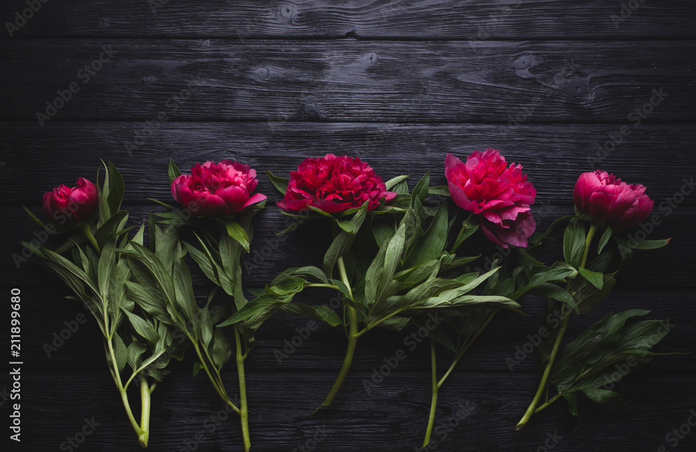 bouquet of red peonies, dark background,