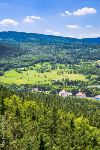 Fototapeta Naklejka Na Ścianę i Meble -  Aerial view of rural landscape in mountain valley, town and houses in nature