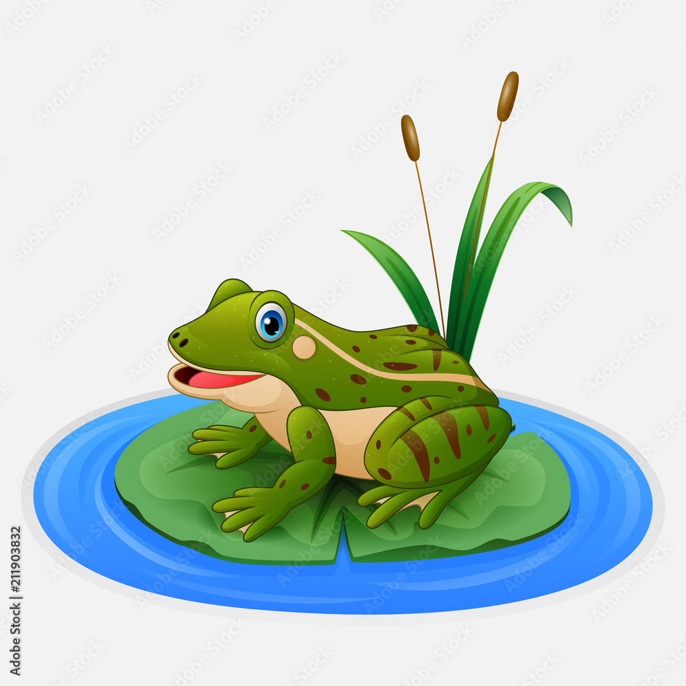 Fototapeta premium Green frog sits on a leaf in the pond