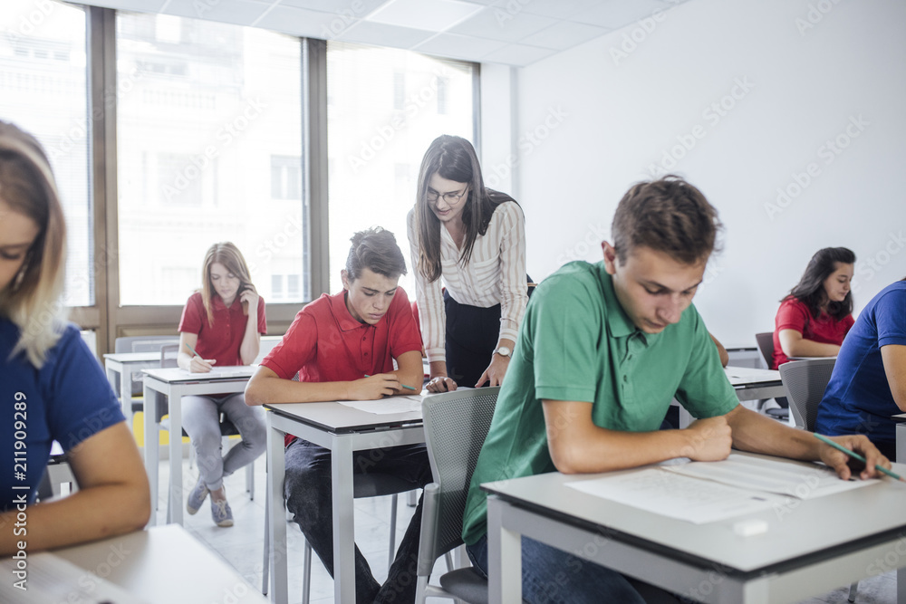 Fototapeta premium Teacher Helping to a Student