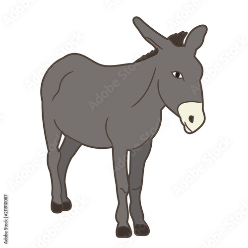 vector, isolated gray donkey standing on white background