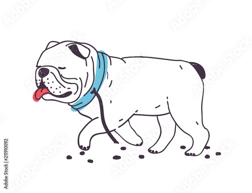 Funny escaped dog walking with torn leash connected to collar. Cute naughty bulldog isolated on white background. Bad behavior of domestic animal or pet. Colorful hand drawn vector illustration.