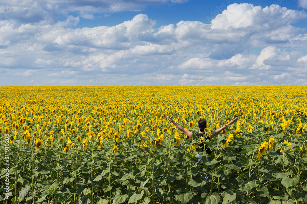 the girl stands in the field of blossoming sunflowers, raising her hands up, embracing nature, the blue sky and lots of clouds, the concept of agriculture
