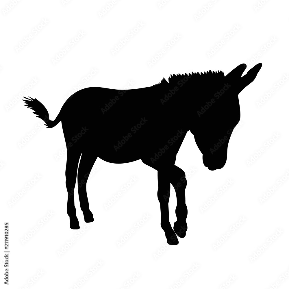 isolated black silhouette of a donkey, is going