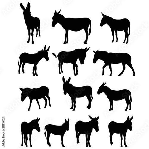 Fototapet vector, isolated silhouette of a donkey, collection