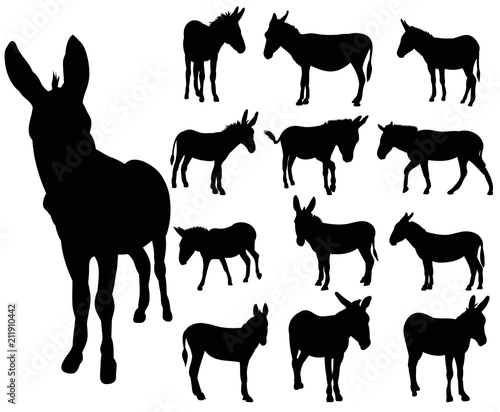 Photographie vector, isolated, set of donkey silhouettes
