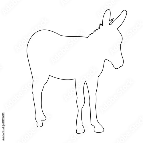 contour of a donkey