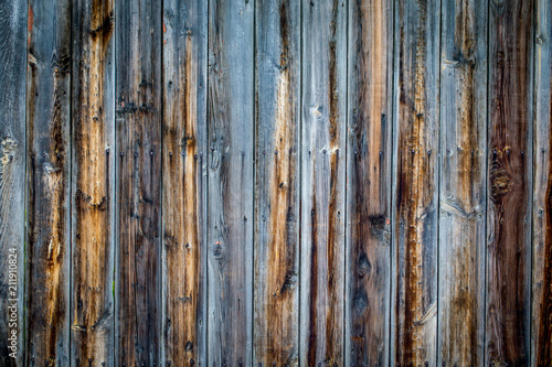 Wood texture background, with a green twig.