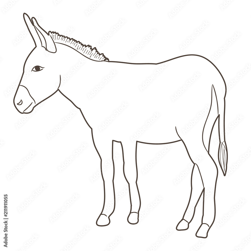 Fototapeta premium donkey sketch going