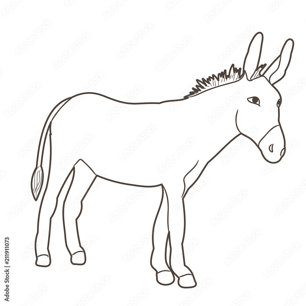 sketch of a donkey standing