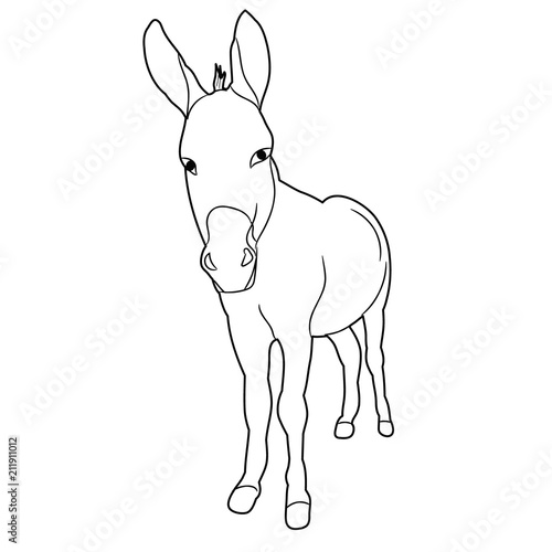 isolated sketch of a donkey on a white background