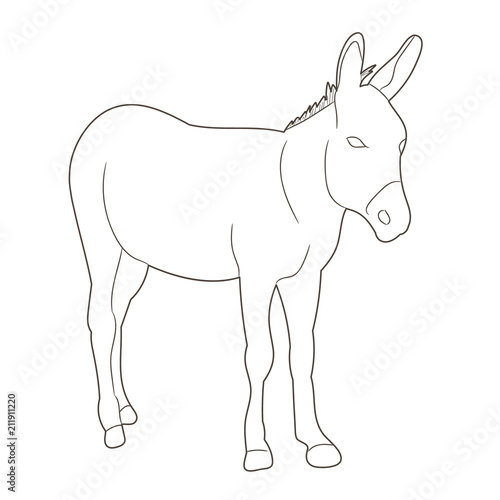 vector  isolated donkey sketch alone
