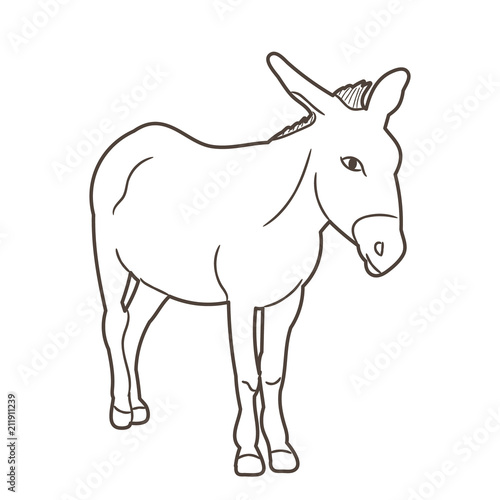 isolated donkey sketch © Dzmitry