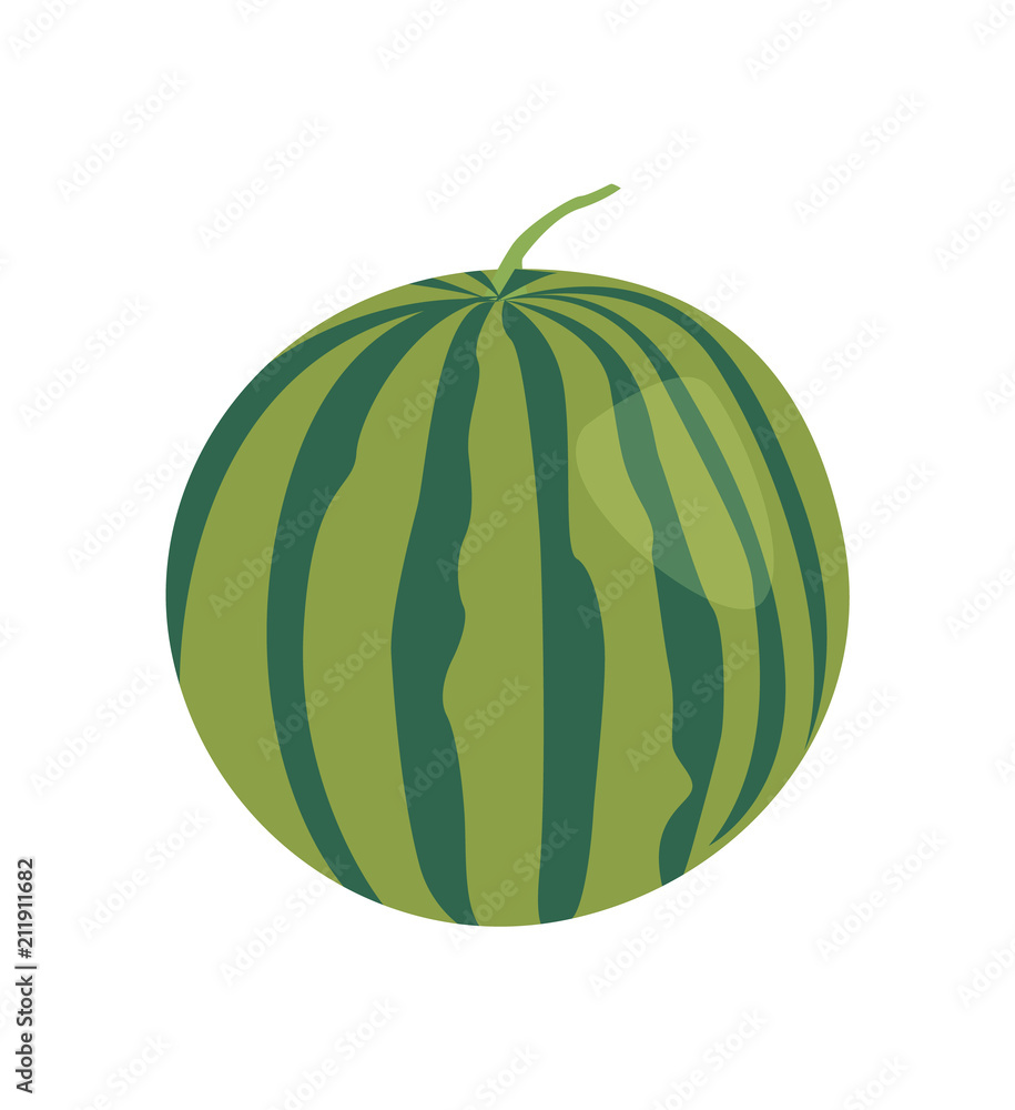 Pretty Watermelon Isolated on White Background Pretty Watermelon Isolated on White Background