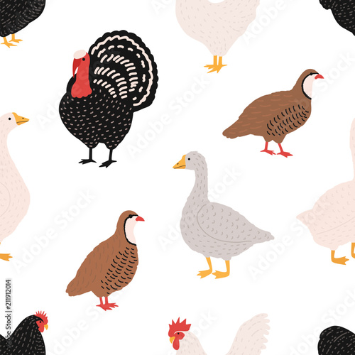 Seamless pattern with domestic birds or farm poultry on white background - rooster, chicken, goose, duck, quail, turkey