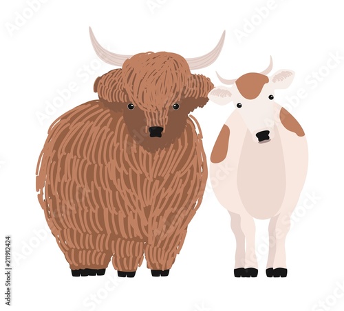 Pair of yak and cow isolated on white background. Portrait of pair of cute cartoon domestic cattle animals standing together, farm livestock. Colorful hand drawn vector illustration in modern style.