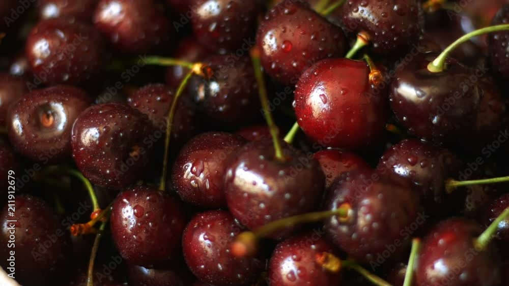 sweet fresh cherries with dew drops, 4k sweet fresh cherries with dew drops, 4k