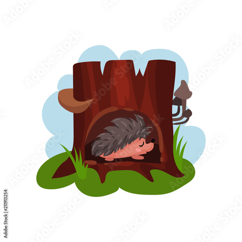 Cute hedgehog sleeping in hollow of tree, hollowed out old tree and funny animal inside vector Illustration i on a white background