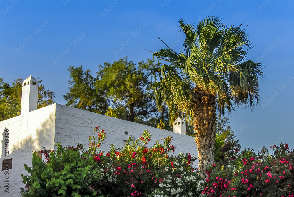 Bodrum, Turkey, 29 May 2010: White Mansion and Palm Tree