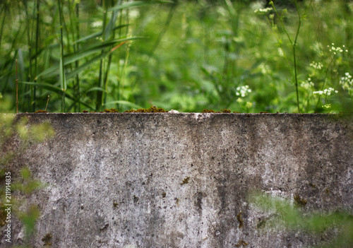 concrete wall in the grass