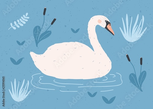 Gorgeous lonely white swan swimming in water of pond or lake among plants. Adorable cartoon wild bird, game fowl or waterfowl. Flat colorful hand drawn vector illustration in modern trendy style.