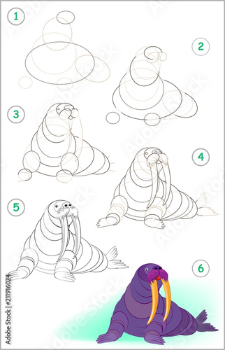 Page shows how to learn step by step to draw a cute walrus. Developing children skills for drawing and coloring. Vector image.
