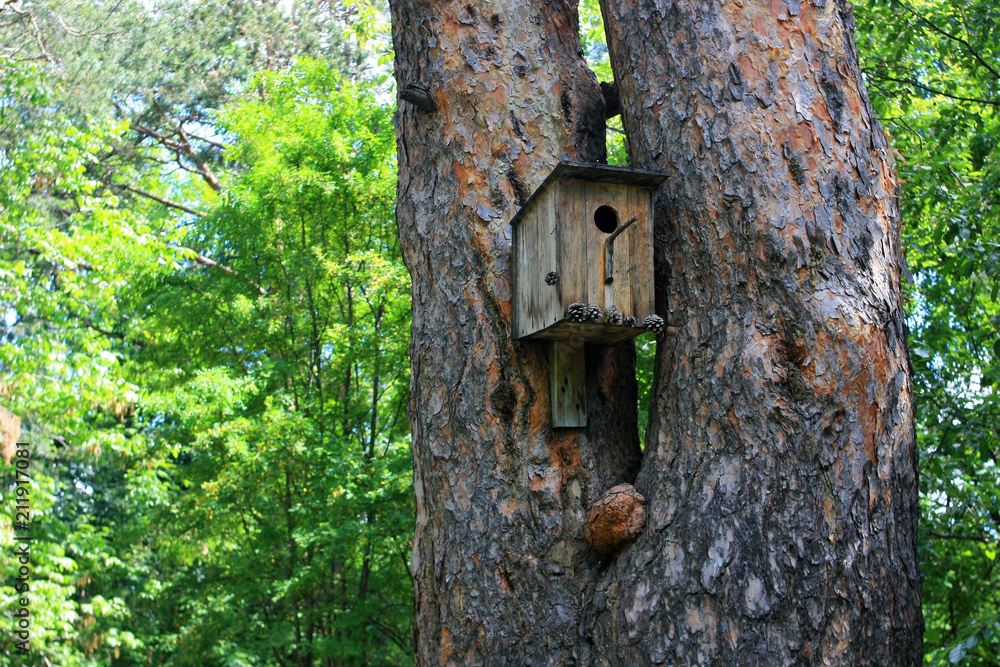 Birdhouse on the tree