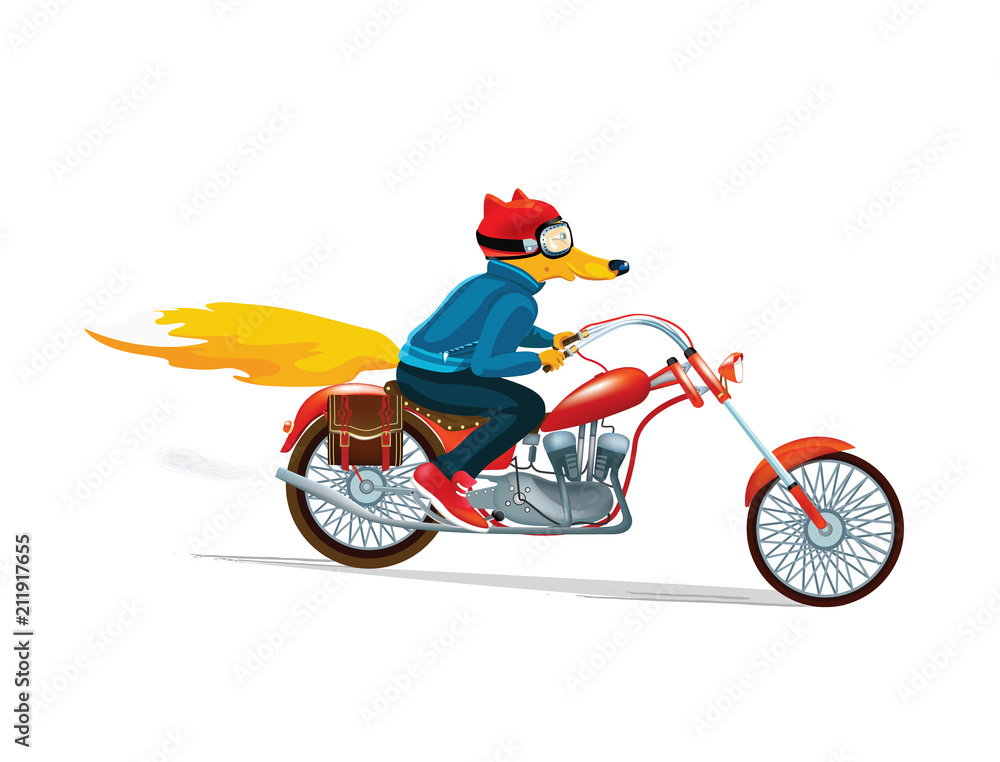 Fox man on a red motorcycle. Hand drawn illustration of dressed fox. Vector  illustration. Cartoon drawing style. Stock-vektor | Adobe Stock