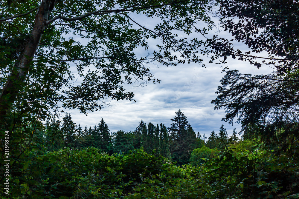 Obraz premium sky at dusk through parting