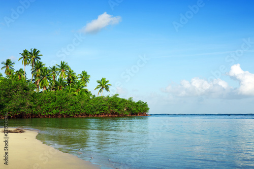 Caribbean sea and green palm trees. © Swetlana Wall