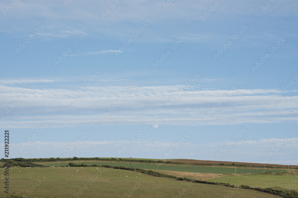 Obraz premium Blue sky over Dartmoor