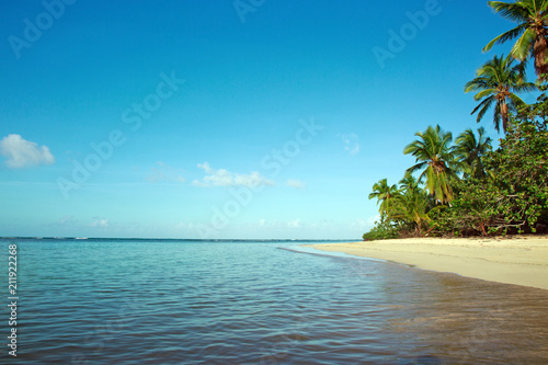 Green palm trees on caribbean beach.