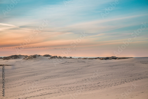 Råbjerg Mile - Sand dune