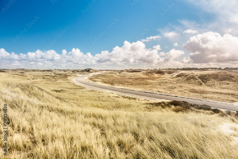 Road in the dunes Road in the dunes