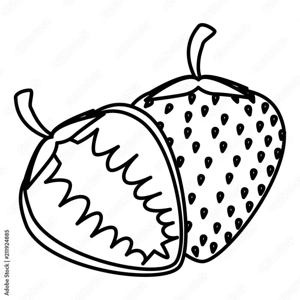 Fototapeta premium strawberry fresh fruit healthy vector illustration design
