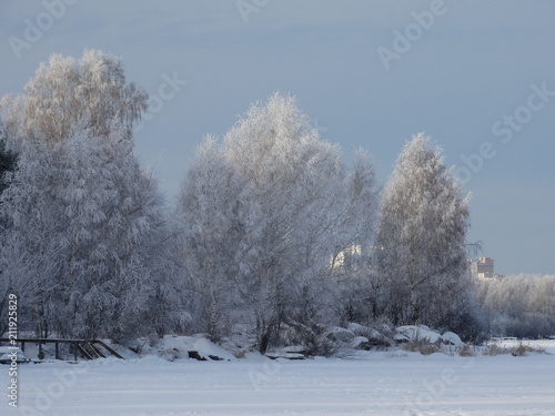 Winter frosty day