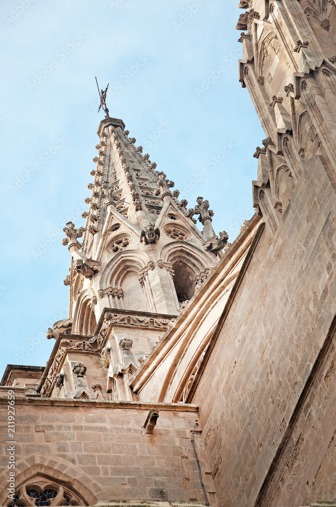 La Seu Cathedral gothic style architectural details