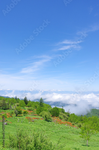 初夏の美ヶ原高原