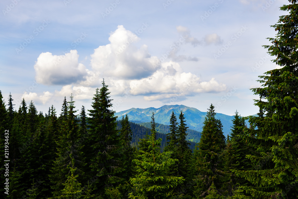 White clouds are floating above the wooded hills