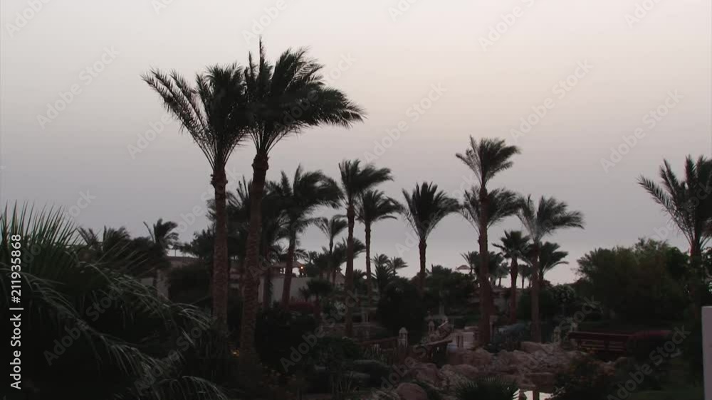 Beach landscape Beach landscape