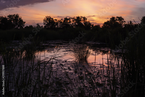 Wallpaper Mural Natural pond in the morning. Torontodigital.ca