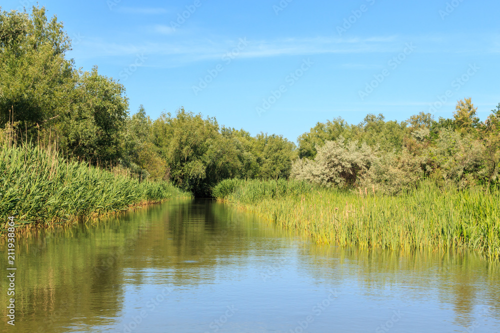 Sunny summer day in a beautiful river landscape Sunny summer day in a beautiful river landscape