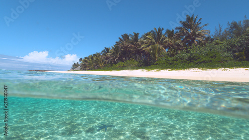 HALF UNDERWATER Dark starfish sits on the white sand ocean floor on a sunny day. © helivideo