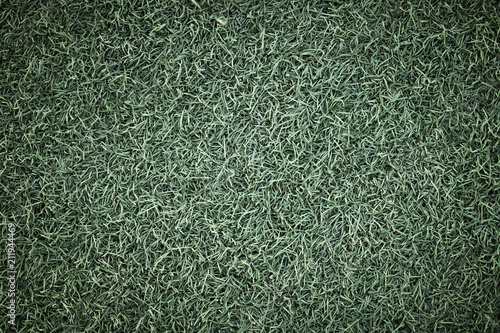 Bilde på lerret vintage green grass and texture filed background