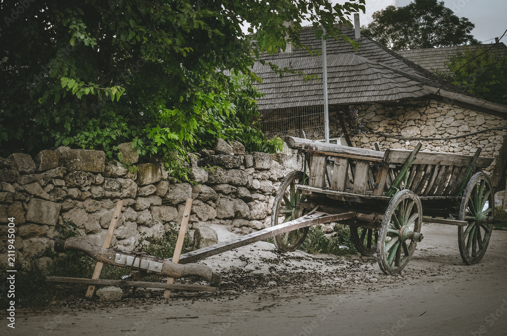 Obraz premium Traditional Coach