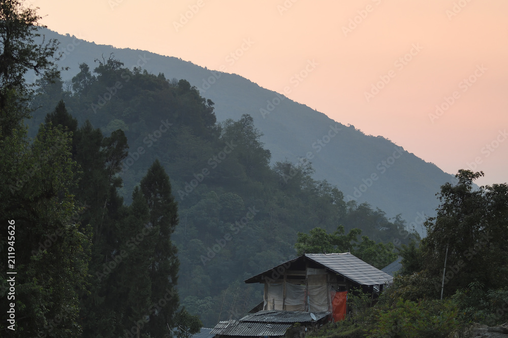 House in a rainforest in China House in a rainforest in China
