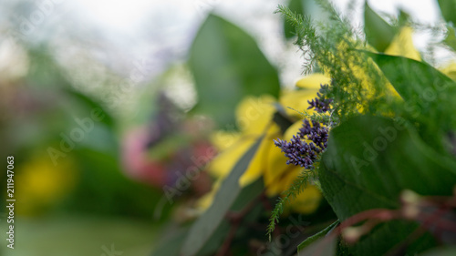 Flowers with blur